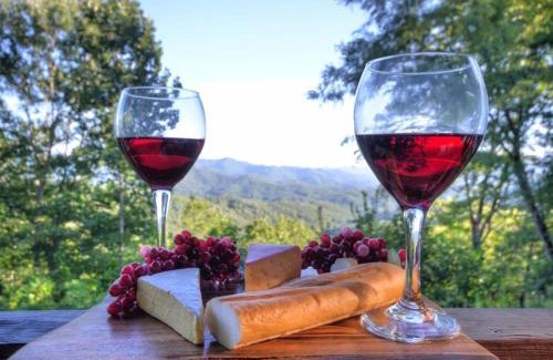 Bryson City House | Goldies Hideaway