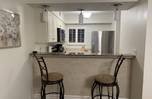 Wesley Chapel Condo | GolfView Condo Near Tampa 2bdrm 2bath