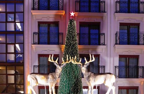 Cekirge Mahallesi Hotel | Gonluferah City Hotel
