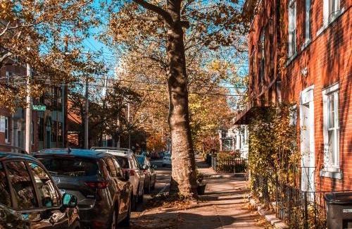 Mill River Apartment | Gorgeous 1BR Wooster Sq. apt. - wshr/dryr, parking
