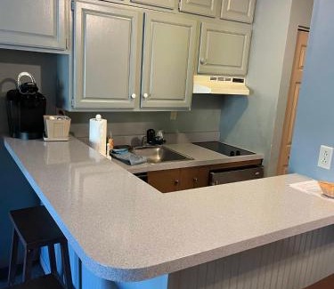 Hancock Apartment | Gorgeous 1st FL Mtn View Jiminy Suite Sleeps 4 Ski On Off