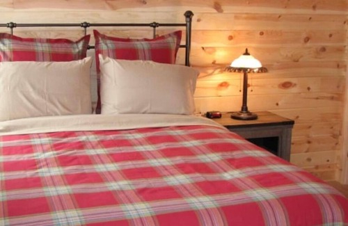 Hayward Cabin | Gorgeous 2 Bedroom on Nelson Lake w/Direct to miles of Snowmobile trails