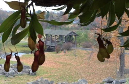 Saugerties House | Gorgeous Estate Offers 2 Bedroom Apartment.