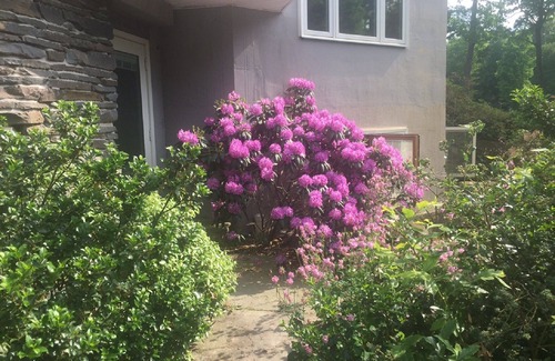 Saugerties House | Gorgeous Estate Offers 2 Bedroom Apartment.