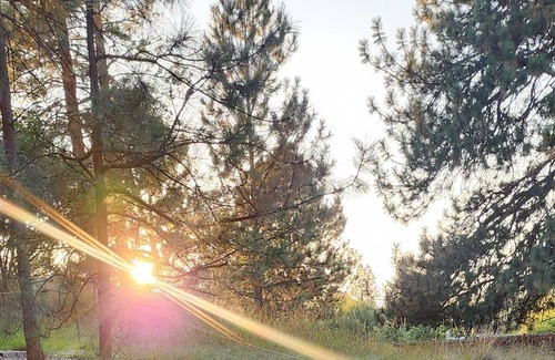 Moose Can Gully House | Gorgeous Mongolian Yurt w/Fire Pit and Creek- 10 minutes from downtown Missoula!