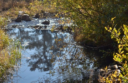 Livermore Cabin | Gorgeous Views, Great Outdoors for Romance, Families and Beloved Pets