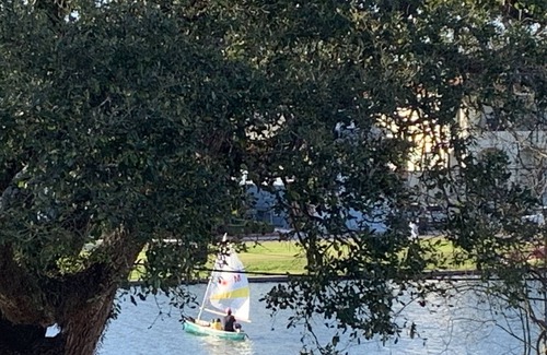 Bayou St. John House | Gorgeous Waterfront home ~ Bayou St. John, Mid City, Jazz Fest neighborhood!