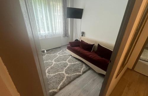 Odorheiu Secuiesc Apartment | Gothárd Robert