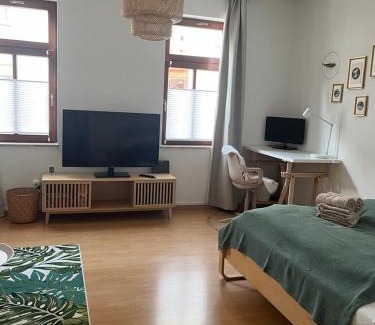 Erfurt Old Town Apartment | Grünspecht am Klein Venedig, zentral mit Balkon, Arbeitsplatz, Küche, Badewanne etc