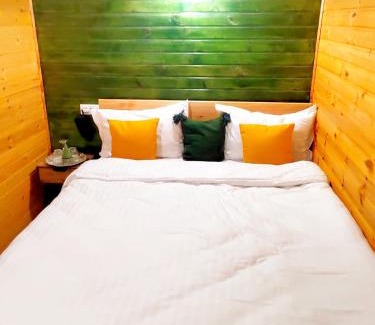 Comanesti Ski Chalet | Gradina Tisa