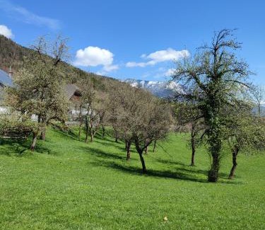 Sankt Wolfgang im Salzkammergut Apartment | Grafbauer
