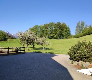 Sankt Wolfgang im Salzkammergut Apartment | Grafbauer
