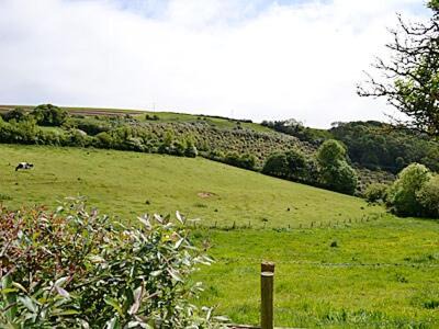 Portholland House | Grain Store 2 - 29636