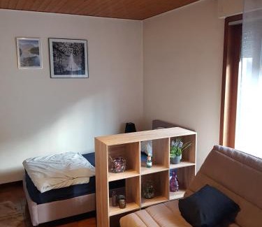Marnaz Apartment | grand studio dans une résidence prive avec une cuisine et salle de bain séparé un parking gratuit et une magnifique vue sur les montagness