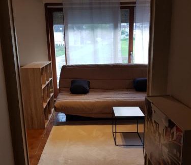 Marnaz Apartment | grand studio dans une résidence prive avec une cuisine et salle de bain séparé un parking gratuit et une magnifique vue sur les montagness