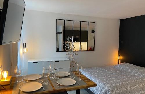 Poincare Apartment | Grand Studio - Le Kléber - Strasbourg Centre