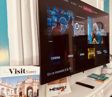 Saint-Pierre - Rene II - Bonsecours Apartment | Grand T1 tout confort offre cinéma Netflix, canal série, apple TV, OCS, paramount