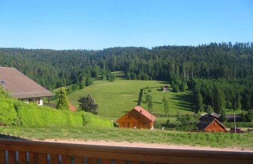 Le Grand Valtin Ski Chalet | Grand Valtin : chalet écolo 4 étoiles 14 personnes