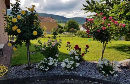 Pfaffenheim Apartment | Grande terrasse, route des vins, domaine viticole 'riesling'