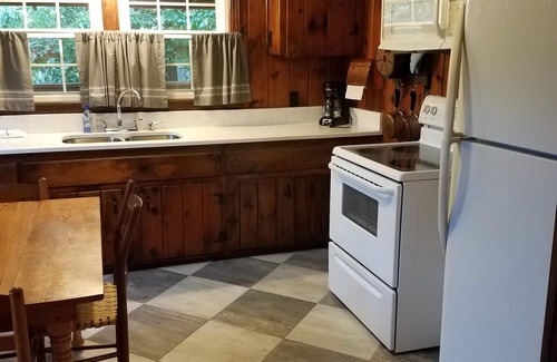 Hot Springs House | Grandma's House/Family and Pet Friendly/Hot Tub & Fire Pit/Close to Trout Stream