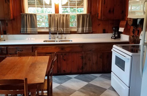 Hot Springs House | Grandma's House/Family and Pet Friendly/Hot Tub & Fire Pit/Close to Trout Stream