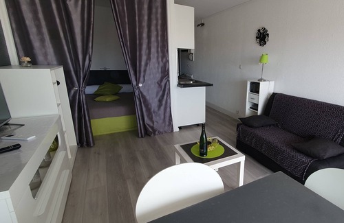 Le Grau-Du-Roi Apartment | GRAU DU ROI Studio 250m from the beach. Shops and town center within walking distance