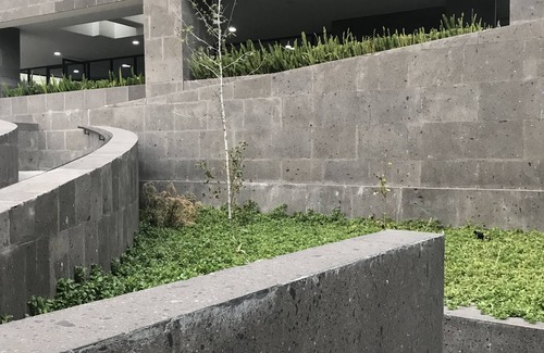 Coyoacan Apartment | Great appartment with amazing sunsets views in Coyoacan Area!