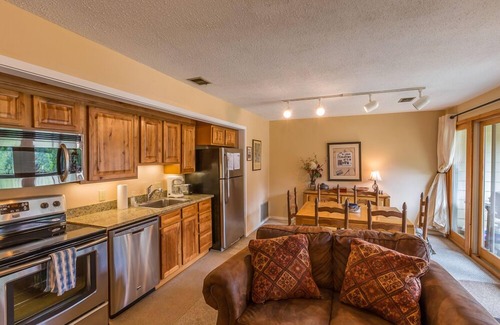 Crested Butte Condo | Great condo within walking distance to the slopes and the free shuttle bus!