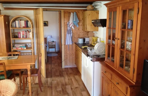 Brienz Apartment | Great for Summer Holidays: Two-room Apartment In A Chalet With Garden And Sauna