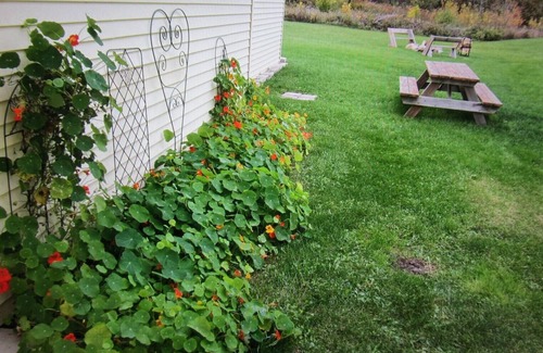 Sturgeon Bay Apartment | Great Getaway with Lots of Comfort and Charm!
