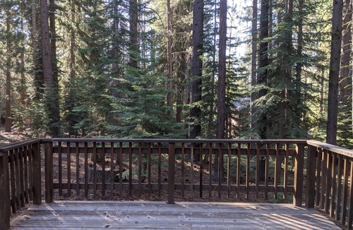 Truckee House | Great Location, Easy Access, Wi-Fi, 50" TV, Open Layout, Renovated Kitchen!