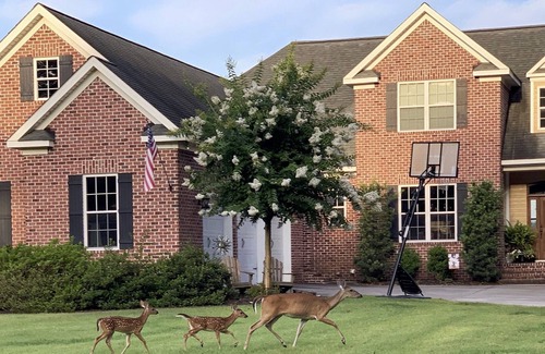 Augusta House | Great Masters rental 4 bed/6 bath, custom home; close to the Augusta National.