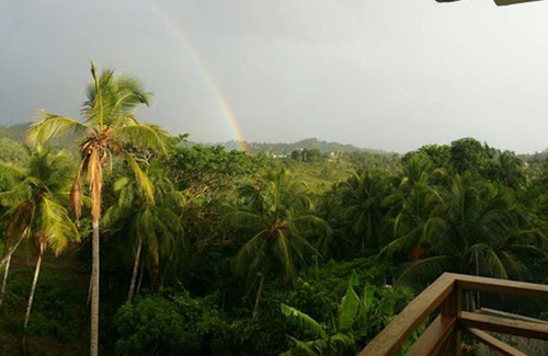 Samana Apartment | Great Palm view - Apartment 3 in Villa Coconut