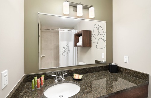 Peters Hotel | Great Wolf Lodge Manteca