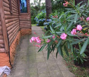 Ureki Villa | Green Cottage Shekvetili