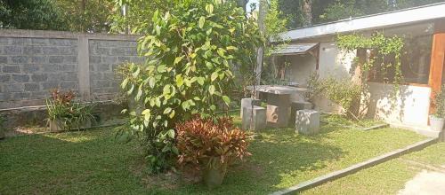 Andiambalama Resort | Green garden airport resort