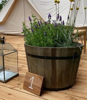 Sønderborg Municipality Other | Green Glamping