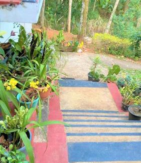 Kandy House | Green Heaven