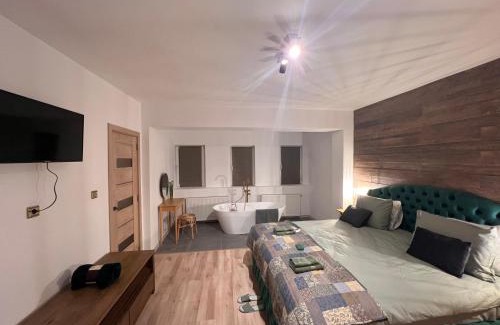 Miercurea-Ciuc House | Green Home