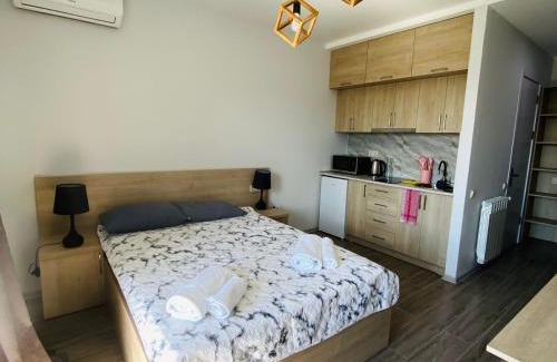 Mtsvane Kontskhi Apartment | green house