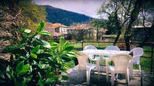 Lagodekhi House | Green House