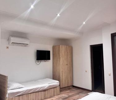 Magnetiti House | Green House