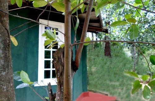 Ambagollapathana Bed & Breakfast | Green Lantern