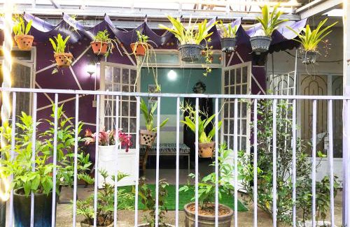 Da Lat House | Green Leaf House - Homestay in Da Lat
