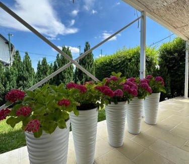 Stolniceni-Prajescu Apartment | Green Oasis