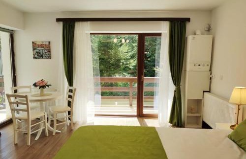 Cioplea Apartment | Green Studio