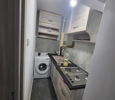 Pitesti Apartment | GREENconcept
