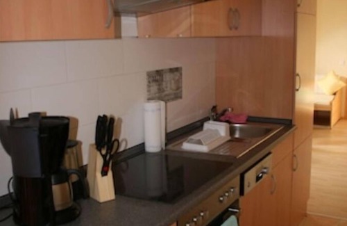 Ehrenfriedersdorf Apartment | Greifenbachmühle - Fewo 3