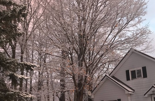 Chatsworth Other | Grey County Farmhouse Short-term Room Stay