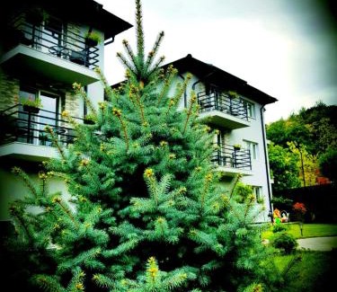 Calimanesti House | GREY VILLAS